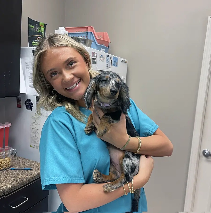 A Mirror Lake team member holding a dapple dachshund